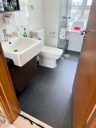 The Parc Condominium (D5), Condominium #502313631